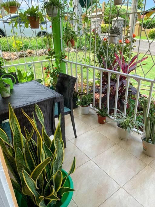 Cozy Villa Mammee Bay Exterior photo